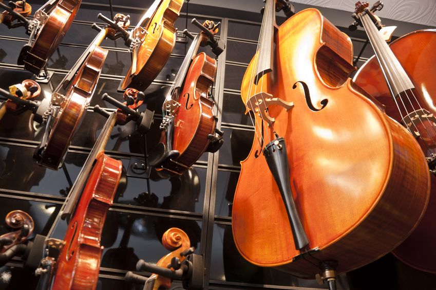 Yverdon : Magasin d'instruments de Musique à vendre
